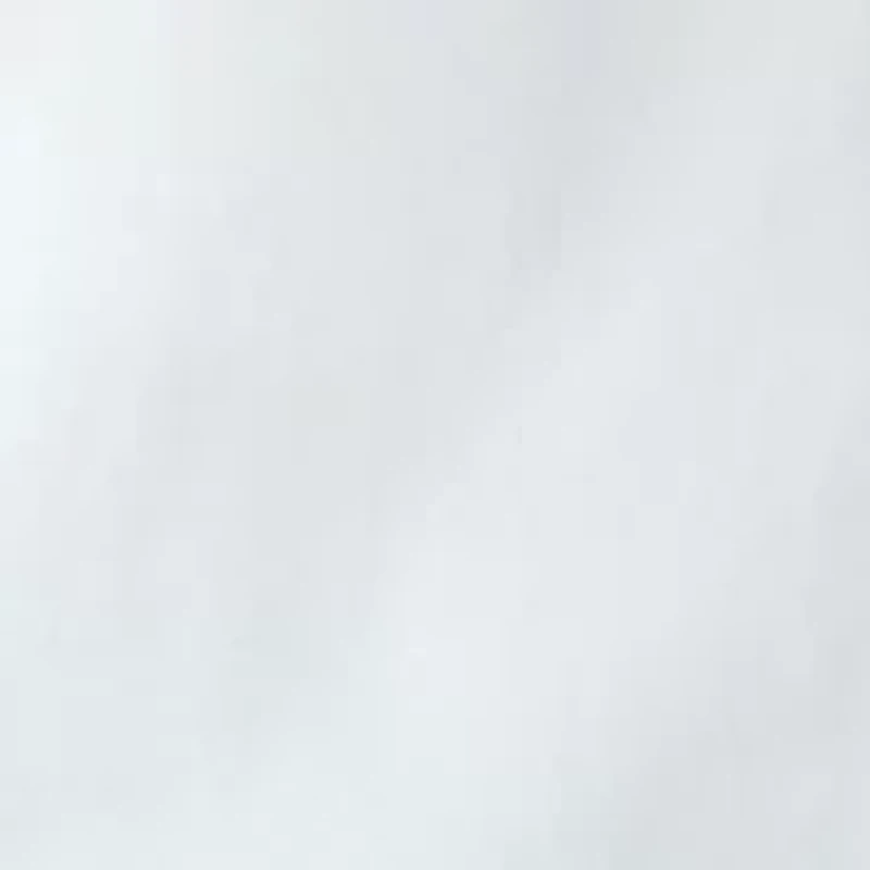 Women's Long Sleeve Embroidered Split Neck Blouse