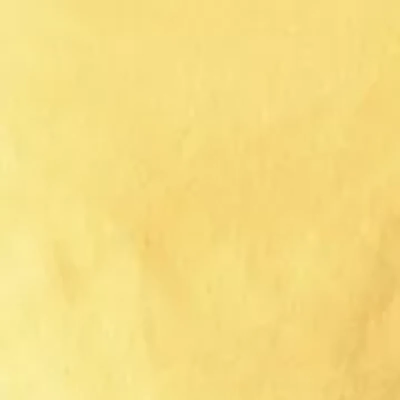 Women's Sleeveless Embroidered Ruffle Dress