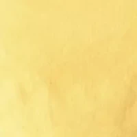 Women's Sleeveless Embroidered Ruffle Dress