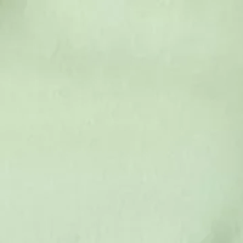 Women's Sleeveless Scallop Shift Dress