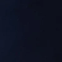 Women's High Rise Pleated Shorts