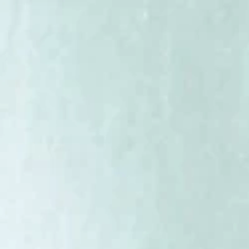 Women's Solid Button Down Top