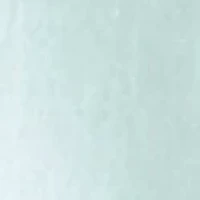 Women's Solid Button Down Top