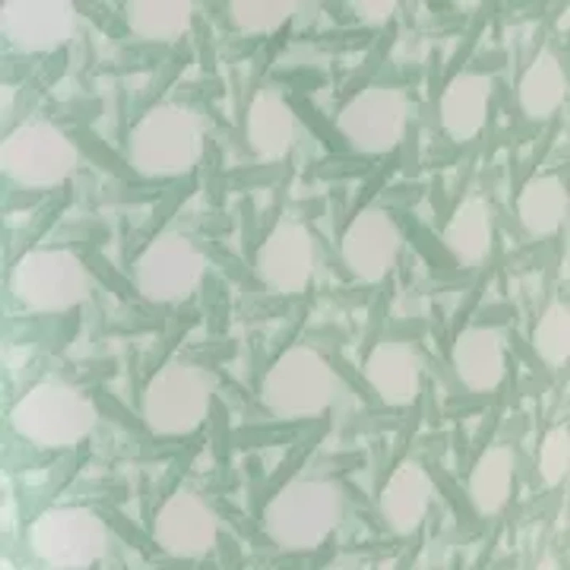 Women's Printed Shorts