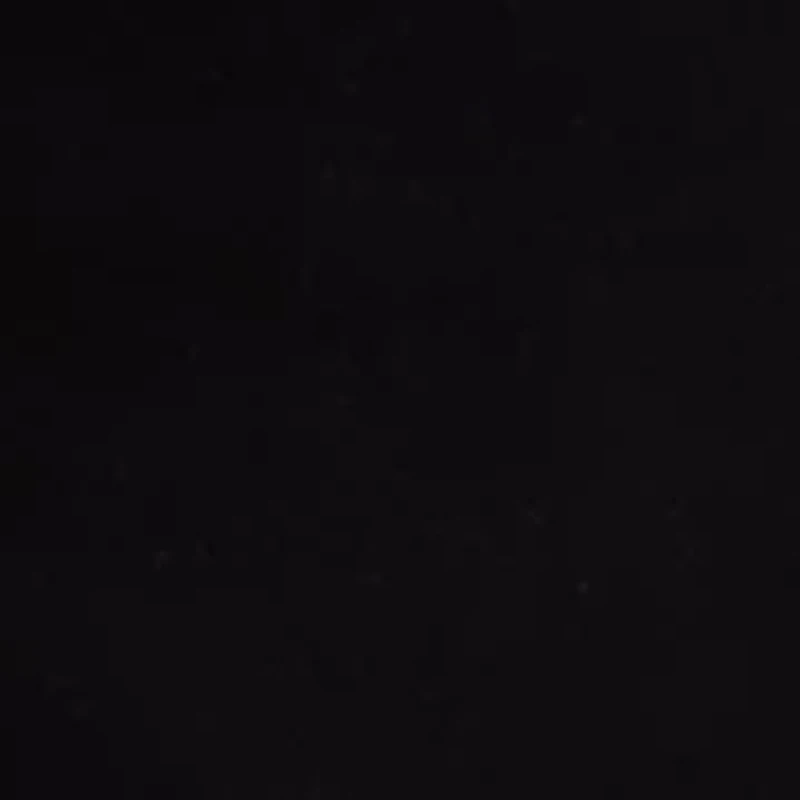 Women's Caroline Shorts