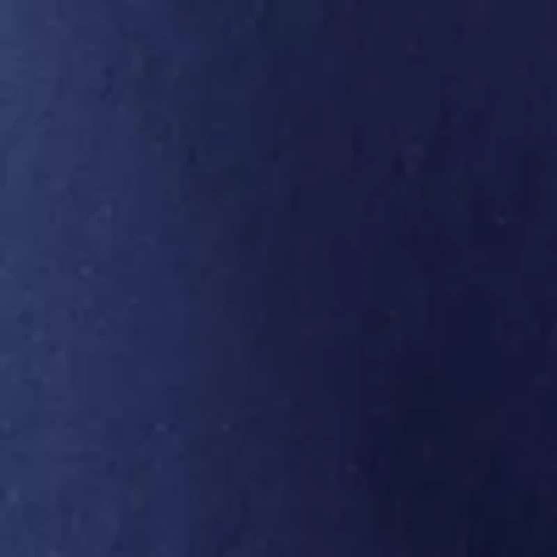 Women's High Rise Pull On Chino Scallop Shorts