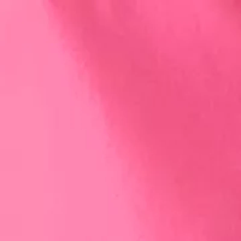 Women's High Rise Pull On Chino Scallop Shorts