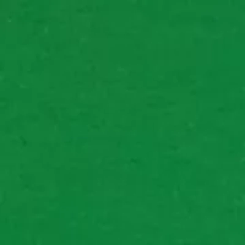 Women's Essential T-Shirt