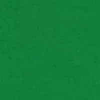 Women's Essential T-Shirt