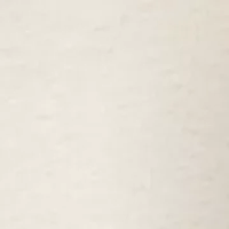 Women's Short Sleeve Ruffle Blouse