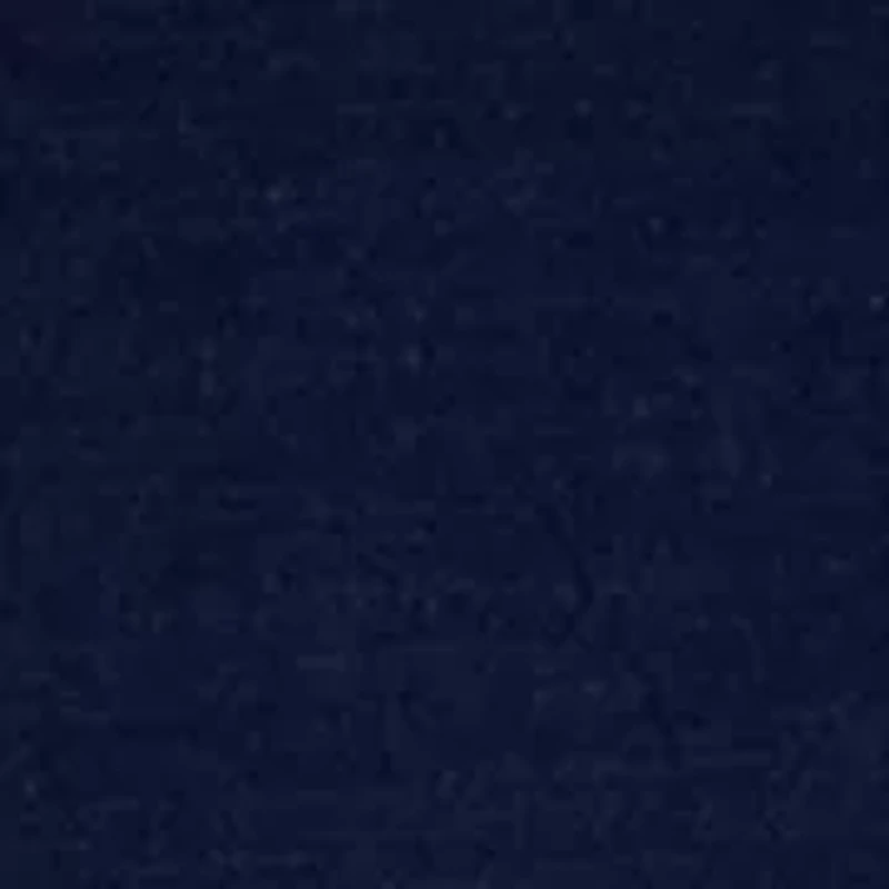 Women's Short Sleeve Embroidered Top