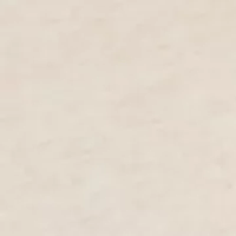 Women's Heather Essential T-Shirt