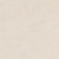 Women's Heather Essential T-Shirt