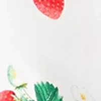 Women's Short Sleeve Jacquard Top