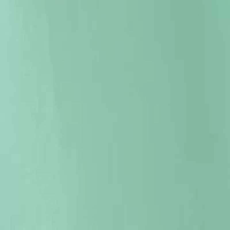 Women's Midi Embroidered Skirt