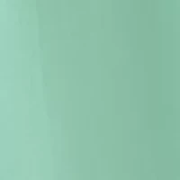 Women's Midi Embroidered Skirt