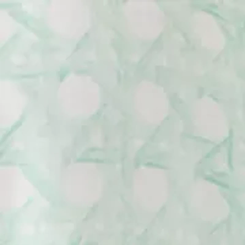 Women's Long Sleeve Smocked Button Up Shirt