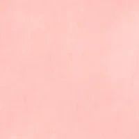 Women's Sleeveless Ruffle Neck Top