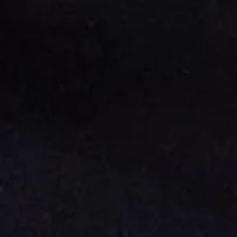 Petite 6" Caroline Shorts