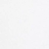 Petite 6" Caroline Shorts