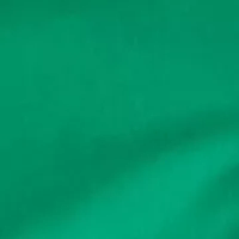 Petite 6" Caroline Shorts