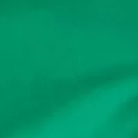 Petite 6" Caroline Shorts