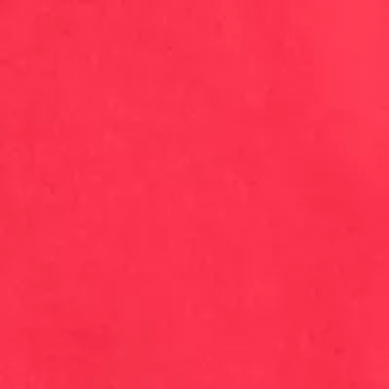 Petite 6" Caroline Shorts