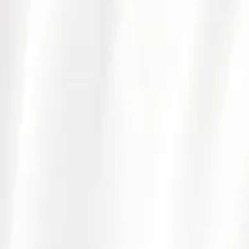 Petite Side Seam Pocketed Embroidered Skirt