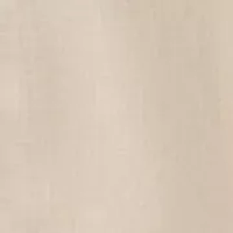 Petite Button Front A-Line Dress