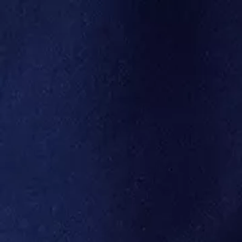 Petite French Terry Shorts