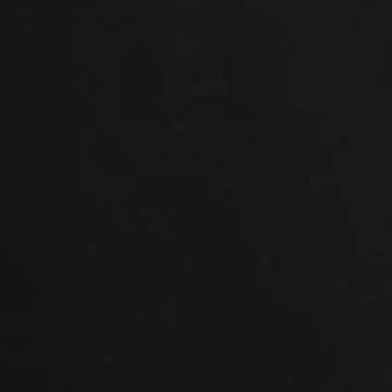 Petite Ruffle T-Shirt