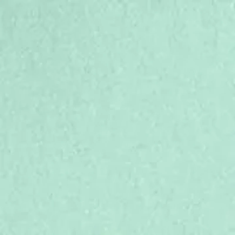 Petite Ruffle T-Shirt