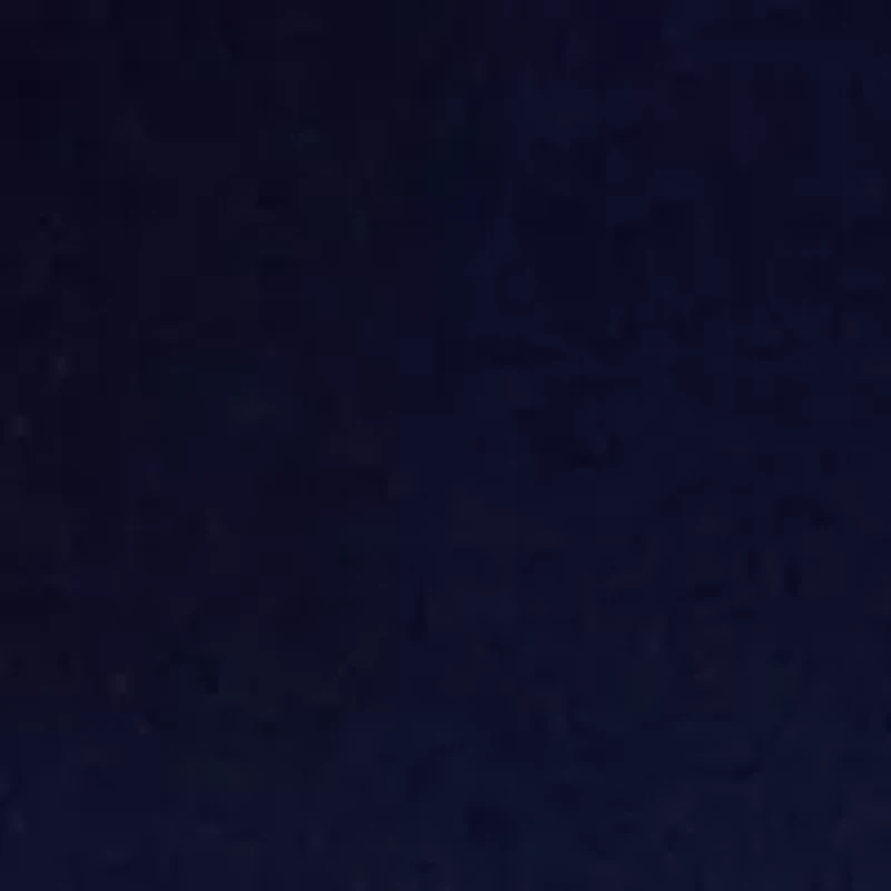 Petite Ruffle T-Shirt