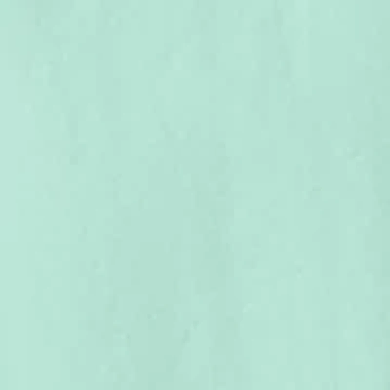 Petite Midi Embroidered Skirt