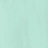 Petite Midi Embroidered Skirt