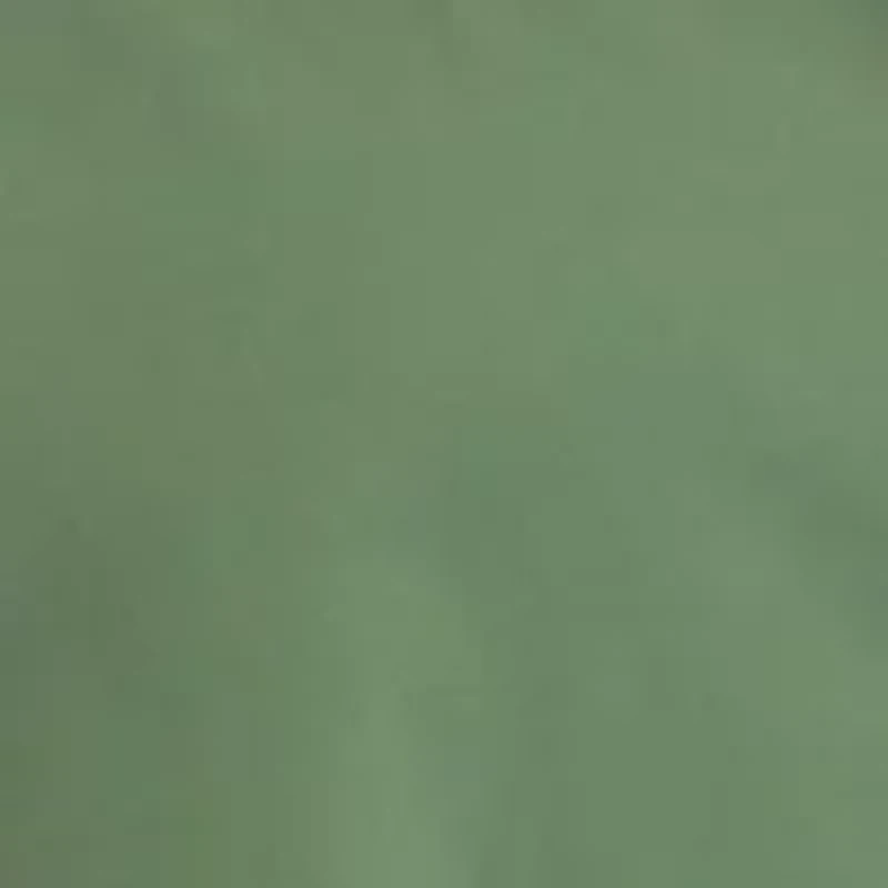 Plus Flutter Sleeve Button Down Dress