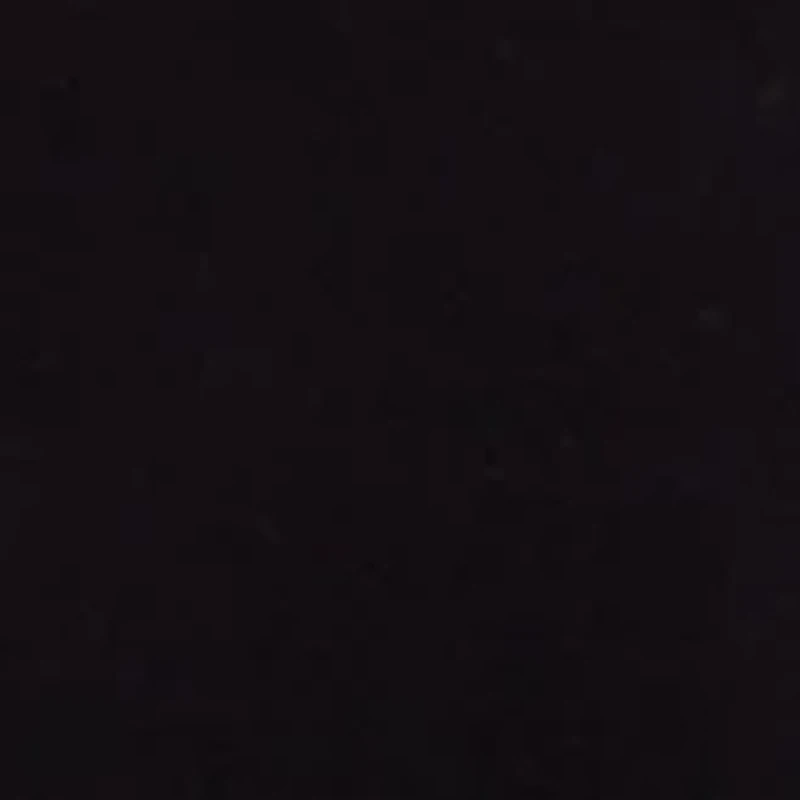 Women's 5'' Caroline Shorts