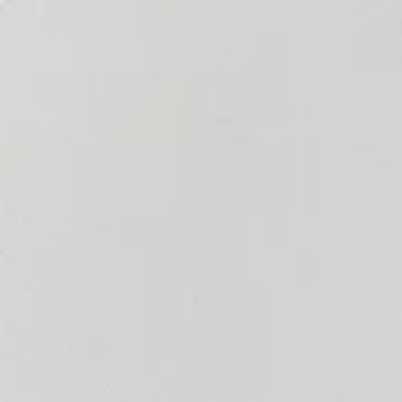 Plus Long Sleeve Embroidered Sweatshirt