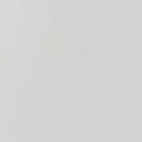 Plus Long Sleeve Embroidered Sweatshirt