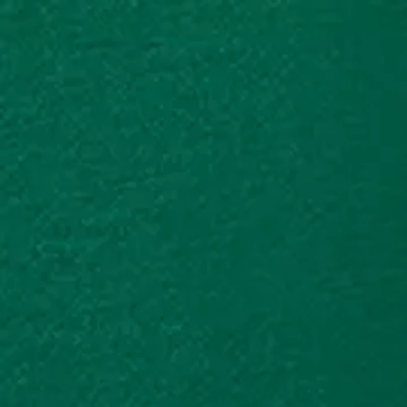 Plus Long Sleeve Embroidered Sweatshirt