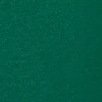 Plus Long Sleeve Embroidered Sweatshirt