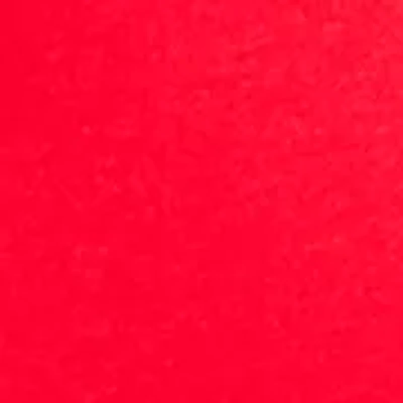 Plus Long Sleeve Embroidered Sweatshirt