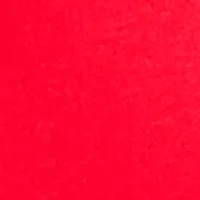 Plus Long Sleeve Embroidered Sweatshirt