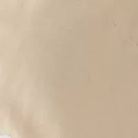 Plus Button Front Embroidered Dress