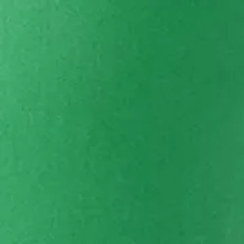 Plus 7" Caroline Shorts