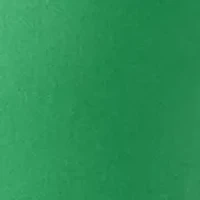 Plus 7" Caroline Shorts