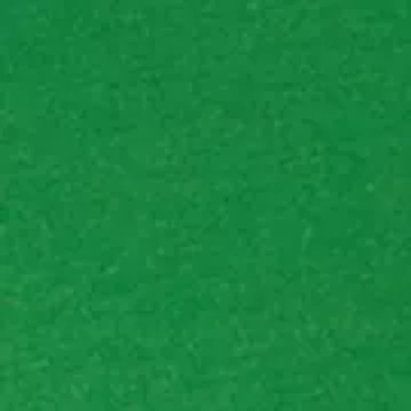 Plus Ruffle Sleeve Blouse