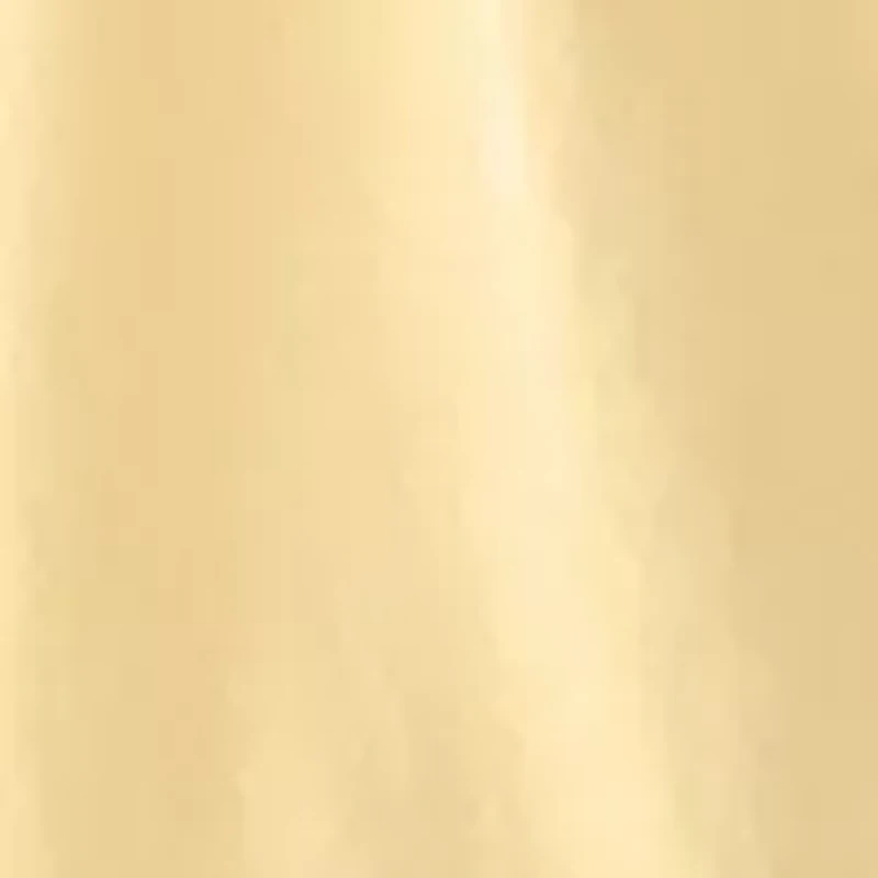 Women's Pleated T-Shirt