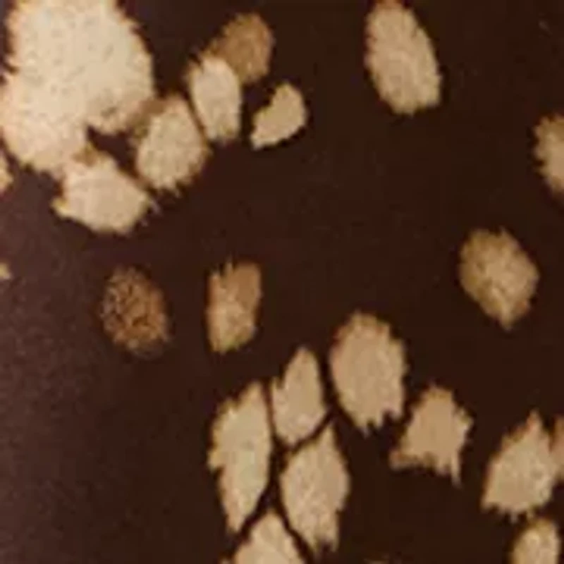 Women's Long Sleeve Peasant Blouse