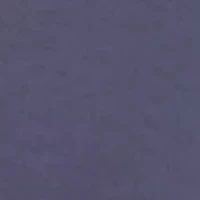 Plus Long Sleeve V-Neck Blouse with Studs